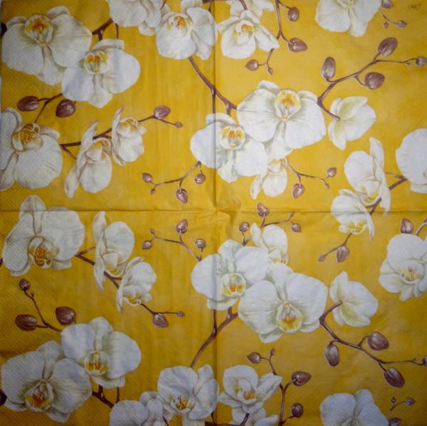 122 Orchids - 3-ply (orange) - Ihr